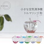 画像1: トルマリンゴ和　6個セット　※準備中 (1)
