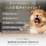 画像13: 【ポイント5倍★最大1,500円OFFクーポン】〜11/24（日）9:59★電磁波対策チャーム anipro charm(アニマル プロテクト チャーム) (13)