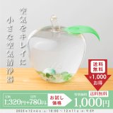 ☆今だけ送料無料1,000円☆★最大2,000円OFFクーポン★ポイント5倍★12月11日（木）9:59終了★ココロとカラダを癒す小さな空気清浄器　トルマリンゴ和(なごみ)